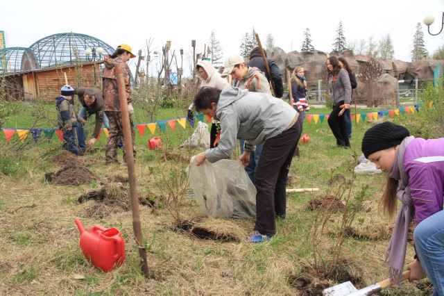 ������� ��������IMG_6754.jpg